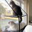 Perchoir Stack Cat