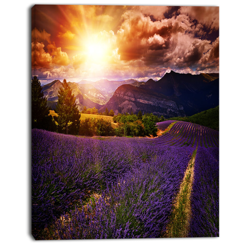 «Beautiful Sunset over Lavender Field», reproduction de photo sur toile tendue, H 32 po x l 16 po x P 1 po, Toile tendue