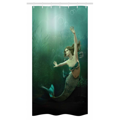 Shower Curtain with Hooks Included