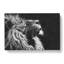 Majestic Lion Illustration - Wrapped Canvas-56634133