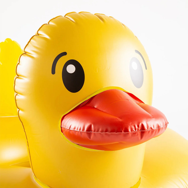 Flotteur Bigmouth Duck