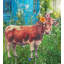 Piquet de ferme - vache