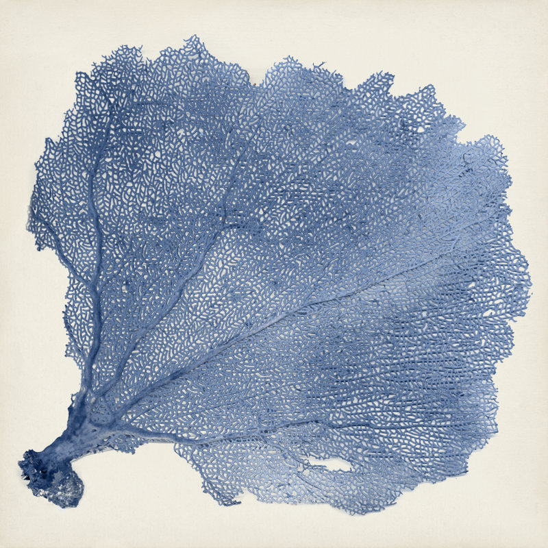 «Sea Fan V», peinture sur toile, H 20 po x l 20 po