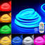 Guirlande lumineuse néon 50 pi