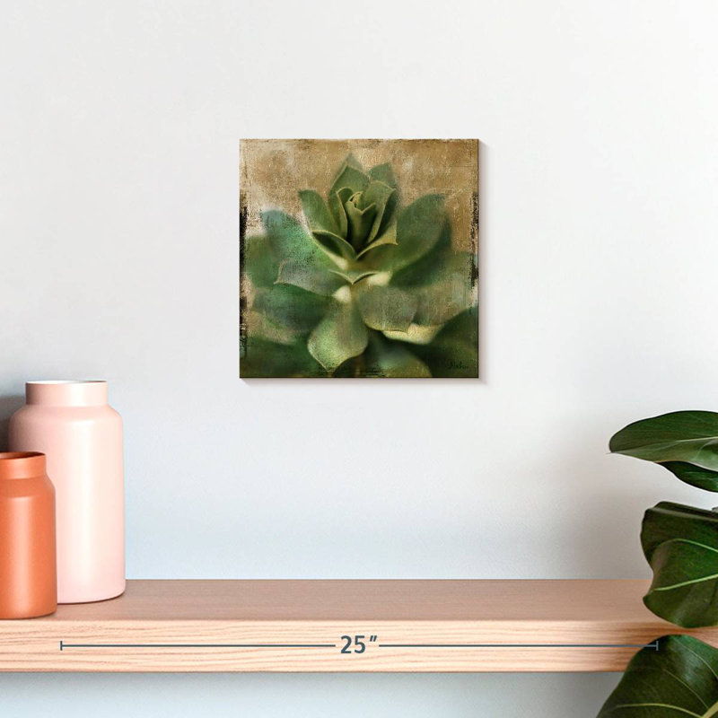 Harnek Succulent I