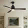 Karlena 52'' Mattte Flush Mount Indoor Ceiling Fan with Led Lights Kit and Remote Control