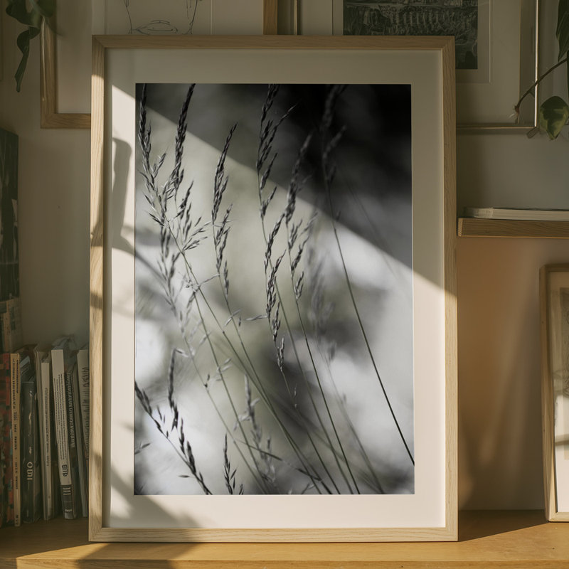 Wrapped Canvas Print, 76.2 cm H x 50.8 cm W