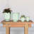 Ceramic Statue Planter-1670540115