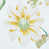 Citron selected