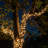 144" L LED Glass String Lights-1192915578