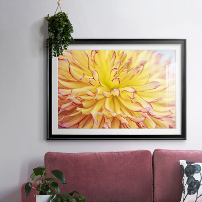 " Blooms III "