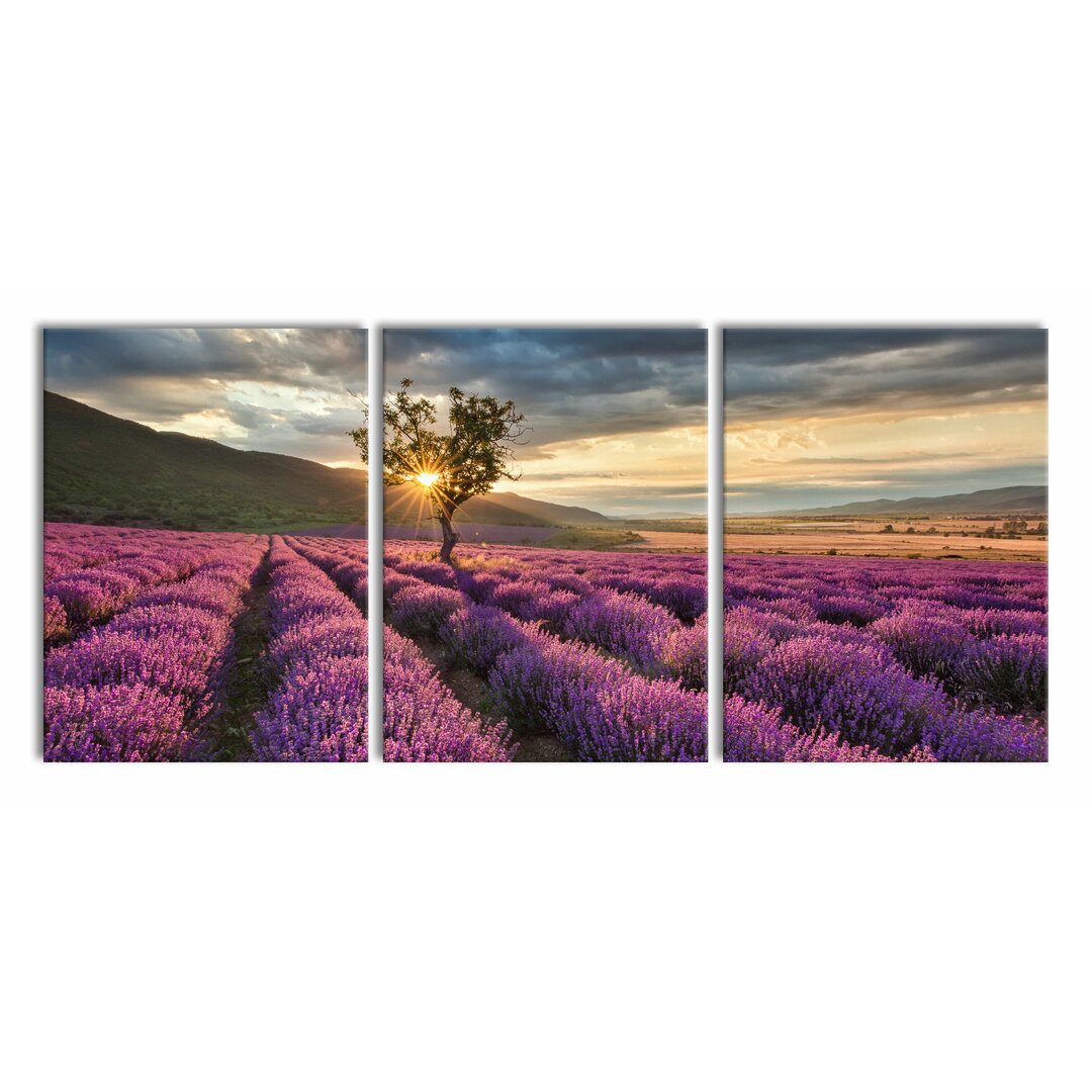 3-tlg. Leinwandbilder-Set Lavendel Provence mit Baum