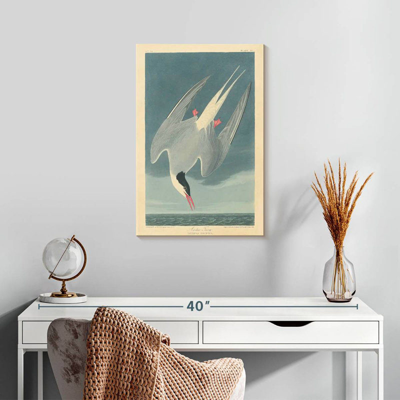 Brampt Arctic Tern, 24" H x 16" W