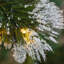 Lighted Artificial Fir Christmas Tree