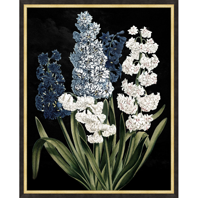 Poetic Botanicals 3 Print by Lillian August