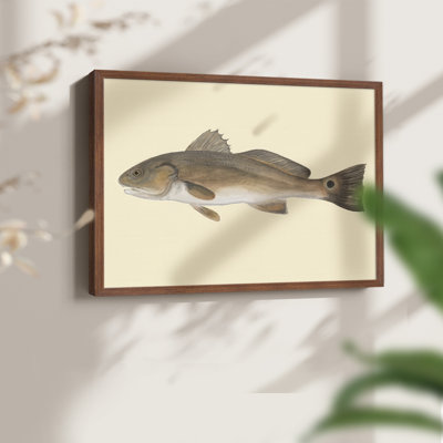 Saltwater Species III -Framed Print - Restickable
