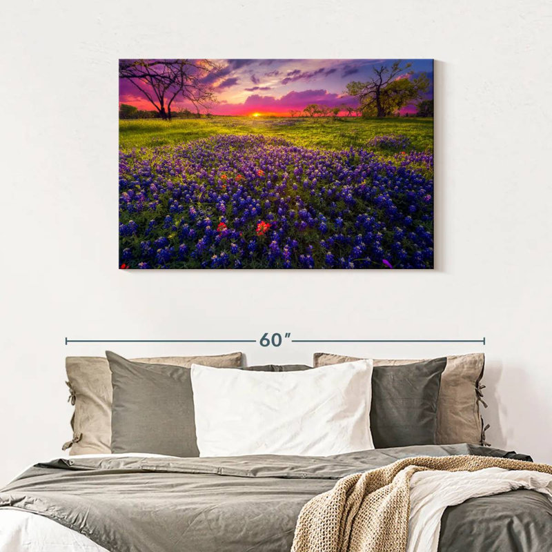 Champ de lavande Alvord Pastel Horizon, H 30 po x l 45 po