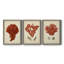 Antique Red Coral I - ensemble de 3 peintures sur toile encadrées-439793164-439793165