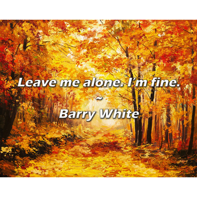 Citation de Barry White: Laissez-moi tranquille. Ca va.