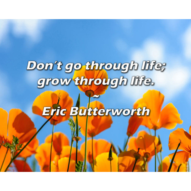 Citation d'Eric Butterworth: Ne traversez pas la vie; grandir à travers la vie., H 26 po x l 32 po