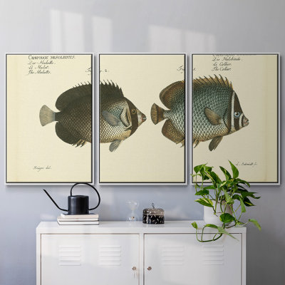 " Bloch Antique Fish V " 3 - Pieces
