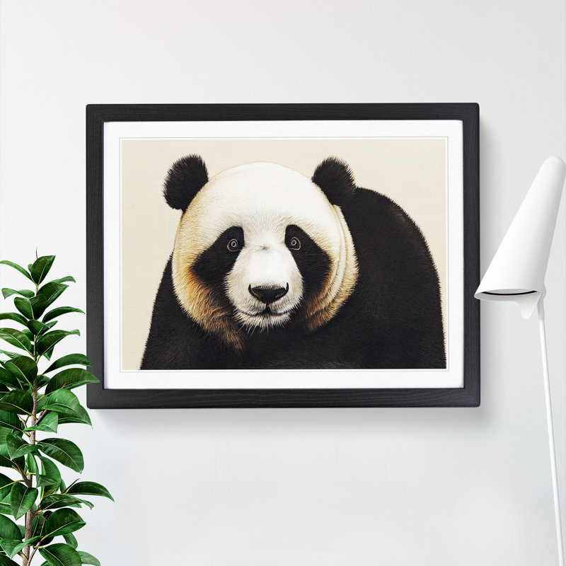 Fine Panda - Single Picture Frame Print, Black Framed, 46cm H x 64cm W x 2cm D