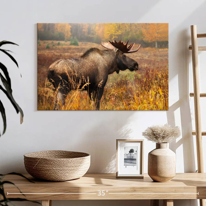 Crowle Mighty Alaskan Moose, H 16 po x l 24 po