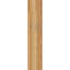 Sapin Douglas-113998552-109329485