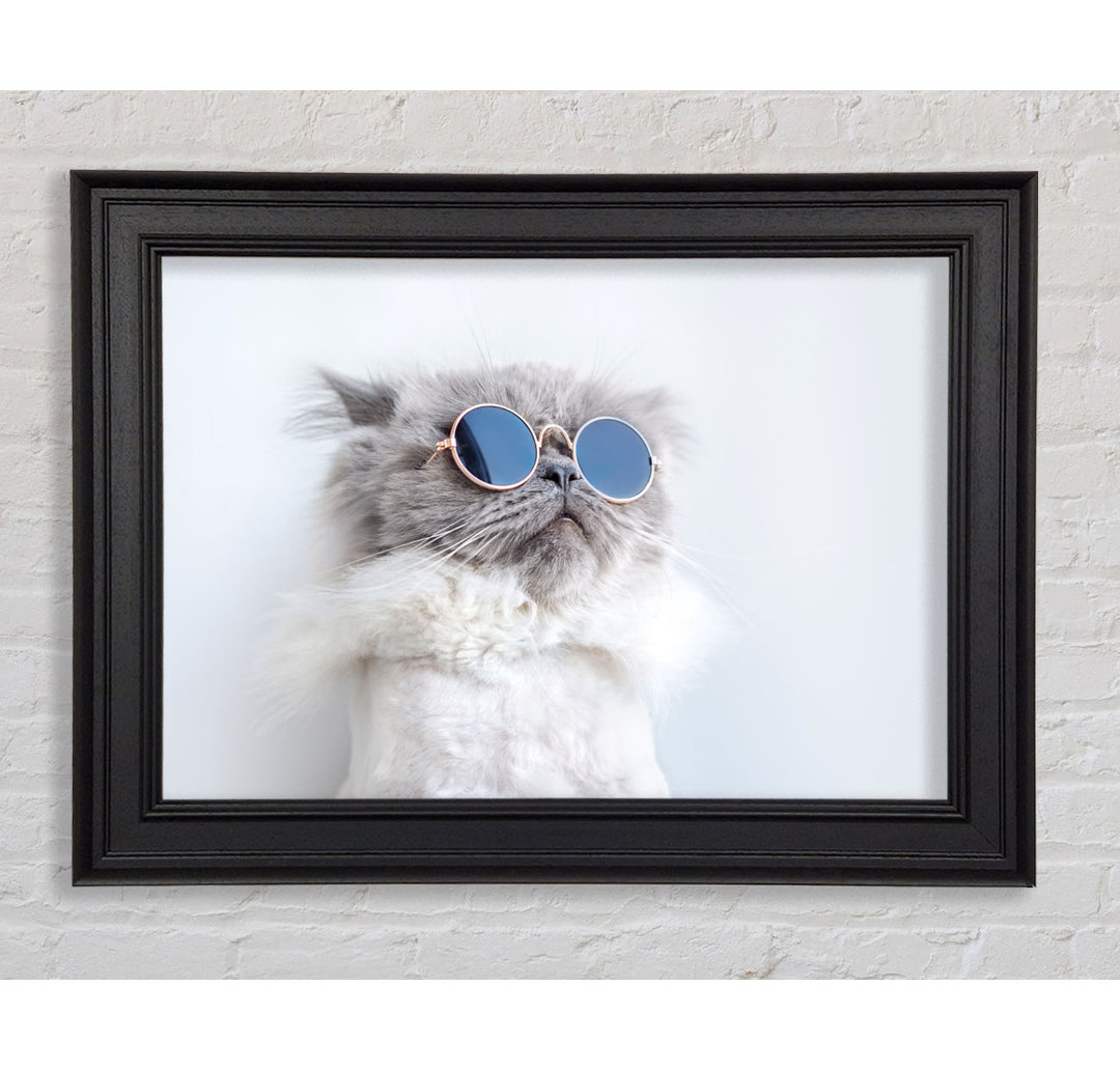 Die Katze mit Brille Gerahmter Druck