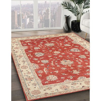 Cejda Oriental Indoor Rug