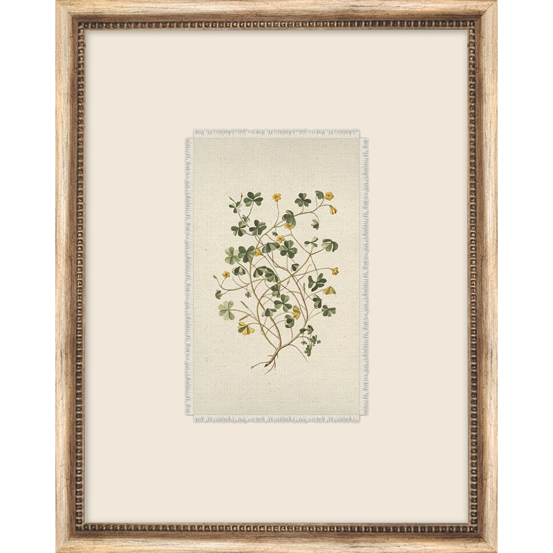 Petite Floral 2 Print