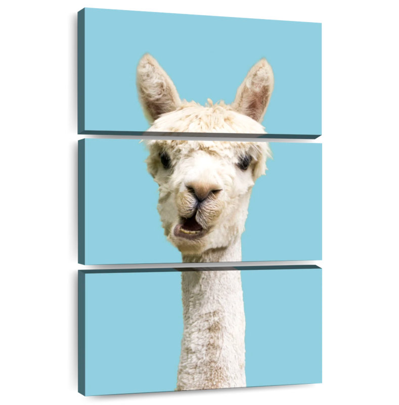 Brampt White Funny Alpaca, 45" H x 28" W