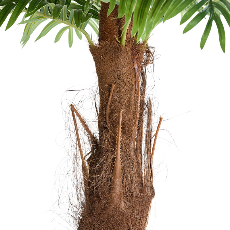 Faux Bonsai Tree in Pot, 200cm H x 107cm W x 107cm D