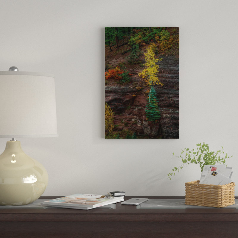 « belle ténacité » par bill sherrell, reproduction d’impression sur toile tendue, H 26 po x l 18 po x P 1,5 po, Pas de tapis