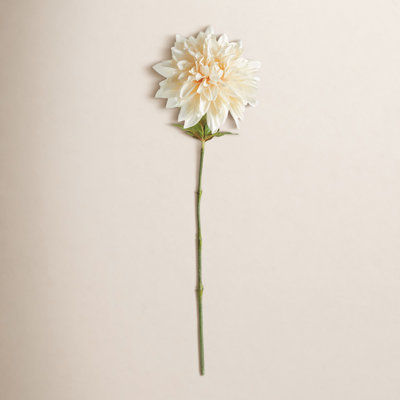 Dahlia Floral Stems