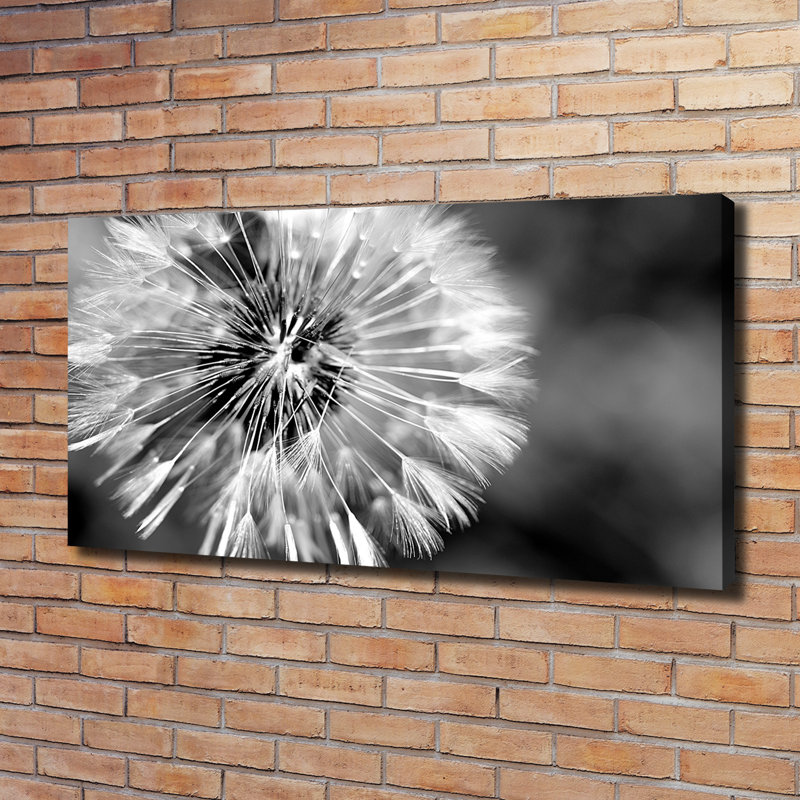 Dandelions - Wrapped Canvas Print