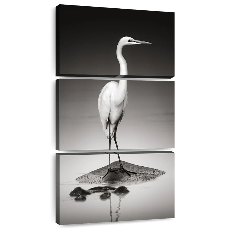 Heron On Hippo
