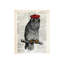 Hipster Owl Print by Michelle Bennett-25708596