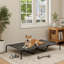 Structure pour chien en acier pour chien-1896243863
