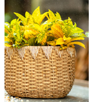 Whaleyville Pot Planter