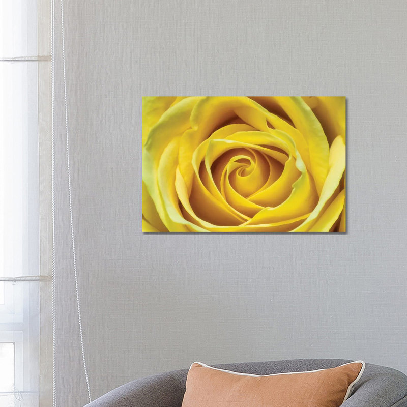 Jaune rose par Glauco Meneghelli-impression, Pas de tapis, H 18 po x l 26 po x P 1,5 po, Toile tendue