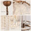 Lustre Empire vintage à 6 lumières, à intensité variable, avec accents de cristal (ampoule incluse)