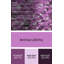 Tapis mauve/blanc à motifs Chantille-1604268197