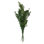 Faux Ruscus Plant