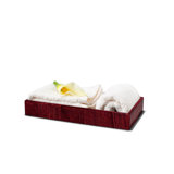 Bathroom Tray