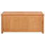 Blanket Chest