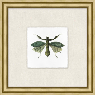 Flying Specimen 6 Print by Lillian August