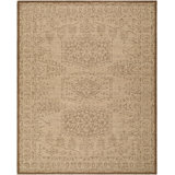 Exquisite Area Rug in Beige