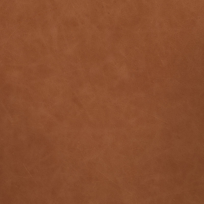 Amare Dining Armchair, Sonoma Butterscotch Top Grain Leather, Natural