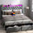 Upholstered LED Bed Frame With Storage Headboard Charging Station 2 Drawers Gray-1968671384